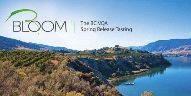 2012 Bloom VQA event