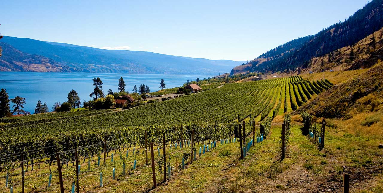 BC Wineries Listing A-Z
