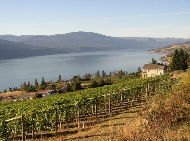 Northern bound! Erin visits BC wine country’s outer edge