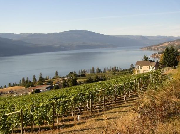 Northern bound! Erin visits BC wine country’s outer edge