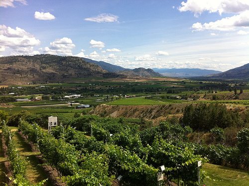15 things that changed the BC wine industry in 2011